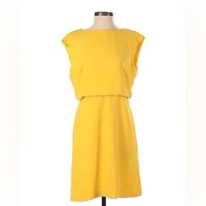 Banana Republic Drape Back Dress Size 8